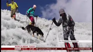 First dog to get to a mountain summit (Himalayas/Global (first)) - BBC News - 8th March 2019