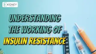 Understanding Insulin Resistance: How It Works In Human Body??? | Diabetes