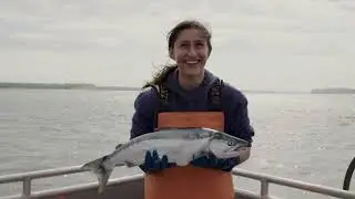 POBB Bristol Bay Sockeye version