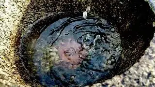 The Water.