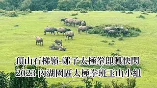 頂山石梯嶺 鄭子太極拳即興快閃 2023內湖園區太極拳班玉山小組