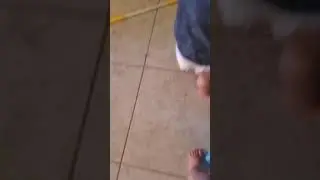 Twins walking
