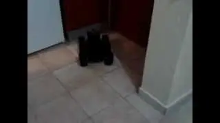Automated Inter-Office Documents Delivery Robot Using RFID: Hardware