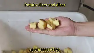 Potato slicer and dicer machine | High Capacity Potato Cutting Equipment | Best Potato Dicer