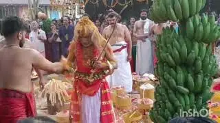 ഈ വെളിച്ചപ്പാട് സാക്ഷാൽ ഭഗവതി# നാരായണംകുളങ്ങര#മകരപ്പത്ത്#pooram# para#maholsavam#mammiyoor 