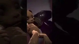 Among the sleep