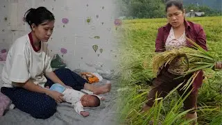 Yen was sad because of the crop failure after the storm and her mother's house was blown away
