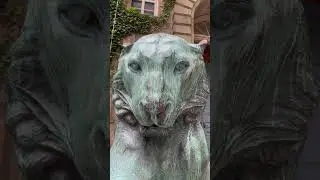 Princeton University Tigers..