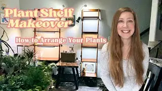 Living Room Plant Shelf Makeover + Mini Houseplant Tour | Budget-Friendly Restyling (Part 1)