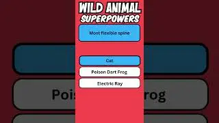 Wild Animal Superpower 24  #flashquiz #quiz #english