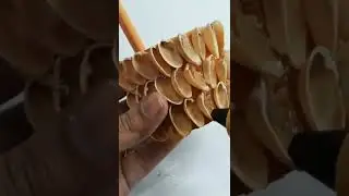 DIY Pista Shell Craft Ideas || Paper Well Making For Kids Project Works..