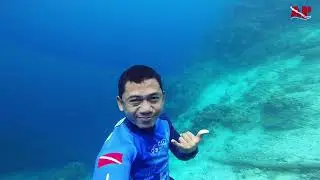 FREEDIVING DAN KONSERVASI TERUMBU KARANG | APNEA POSO COMMUNITY