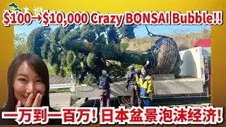 【Crazy Bonsai Bubble】$100 to $10000！Macro Bonsai market in Japanese Bubble era was crazy!!