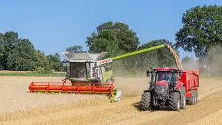 Une Claas Lexion 7500 Terra-Trac à la moisson 2021! 👌