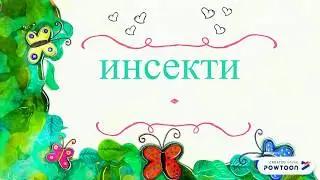 Insekti