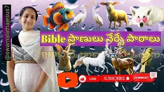 📖 Bibleలో 🐜🐋Animals and 🐦🐓Birds నేర్పే పాఠాలు #bible #shorts #viral 