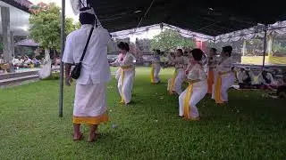Tari 