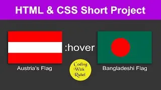 Create a hover effect on the flag | Hover effect easy tutorial for beginners | HTML & CSS Tutorials