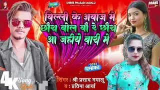 बिलि के आवाज मे जब बोलबौ रे  maithali item song स्वर : श्री प्रसाद मयलु व प्रतिमा आर्या