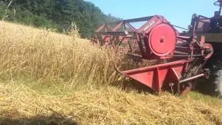 Zetva ovsa 2015 - Zmaj 133 rm