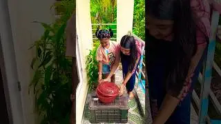 they achieved target by saving kittens #girl #save #kitten #target #achievement #cute