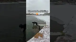 Какой из них ваш любимый?