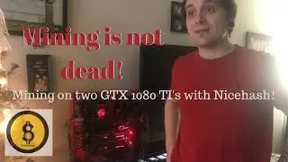 Nicehash on two GTX 1080 TI's  | Mining is not dead!!!