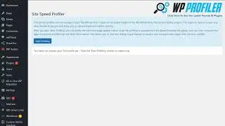 WP  profiler - learn how to fix site load speed test