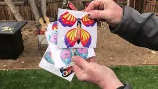 Wind-Up Flying Butterfly is for the Dogs