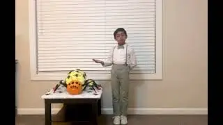 A speech on Halloween Spider by Ayaan Yetta