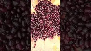 jamun kale kale