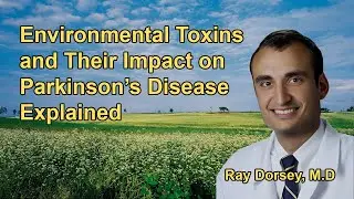 Environmental Toxins and Their Impact on Parkinson&rsquo;s Disease Explained