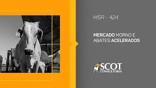 Mercado sem Rodeios - Epis&oacute;dio 424 - Mercado morno e abates acelerados