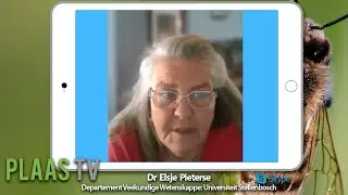 Plaas TV 17 June: Insect farming / Desertification