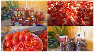 طريقة تحضير |المونة على طريقة الست السورية،  مكدوس وبندورة وفليفلة 😋🥰🥰