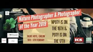 Irish Photographic Federation Photographer of the year  2019