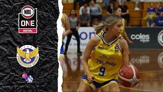 Jessica Simons Highlights 2023 || Australia NBL One || Forestville Eagles