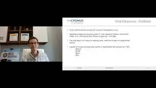 Predicting Viral Clearance Through the Use of Non-Infectious MVM and RVLP Surrogates