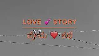 Love story  💝 | Parrot Couple 😍 Love Making💖💗| Parrots video compilation 2022 | parrots 🦜 Bonding