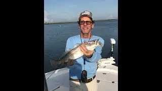 Aggressive Redfish Stacking up for the Fall Bite!
