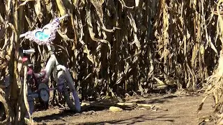 Feltz's Dairy Farm holds 5th Haunted Corn Maze this weekend