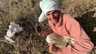 🔥Honey harvesting In village style 🐝😱#viral #honey #village #subscribe 