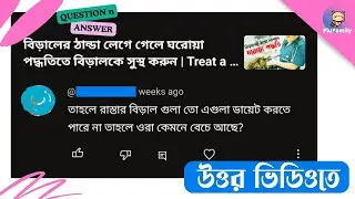 এই দুনিয়ার সব বিড়ালের যত্ন কি আমার পক্ষে নেয়া সম্ভব? #piufamily