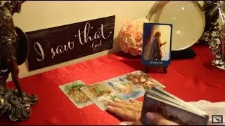 The Daily Vibe...The Family Feud....Daily Tarot Reading