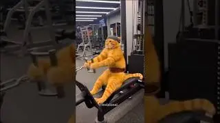Cat gym accurately 😅 #ai #cat #funnycat #gym