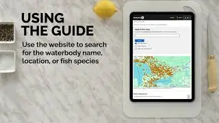 The Guide to Eating Ontario Fish | 2025