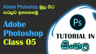 Photoshop Basic class 05 | Tutorial in Sinhala