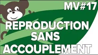 Reproduction Animaux Sans Accouplement MV# 17-SVT Collège-Mathrix