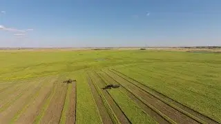 Horvath Farm - Swathing 2014