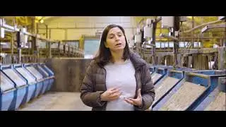 Victoria Sanz Fernandez - Ruminants Researcher, Trouw Nutrition